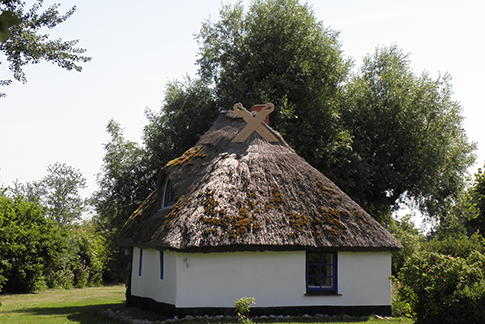 Vitte