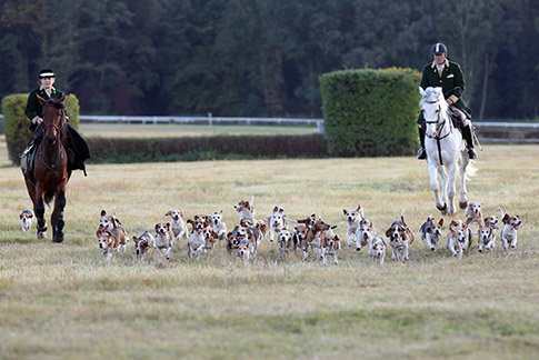 Saisonfinale Saisonfinale