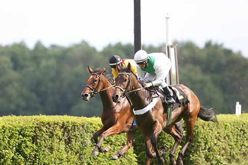 Hoppegarten