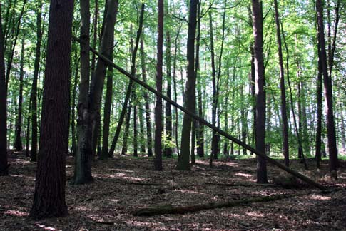 UNESCO-Weltnaturerbe